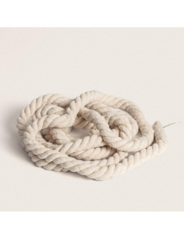 Guirlande LED Extérieure Corde avec Batterie Iraia 5m