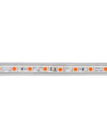 Ruban LED Dimmable 220V AC 60LED/m Orange IP65 sur Mesure Largeur 14mm Coupe tous les 100cm