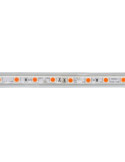 Ruban LED Dimmable 220V AC 60LED/m Orange IP65 sur Mesure Largeur 14mm Coupe tous les 100cm