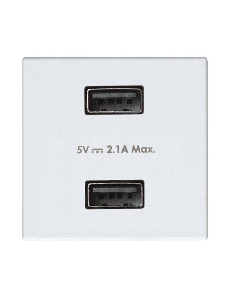 Prise Double USB SIMON 27 Play 2701096