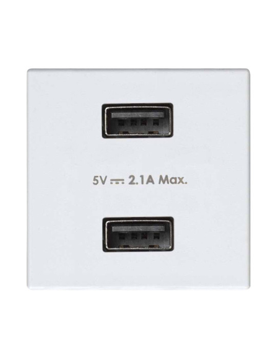 Prise Double USB SIMON 27 Play 2701096