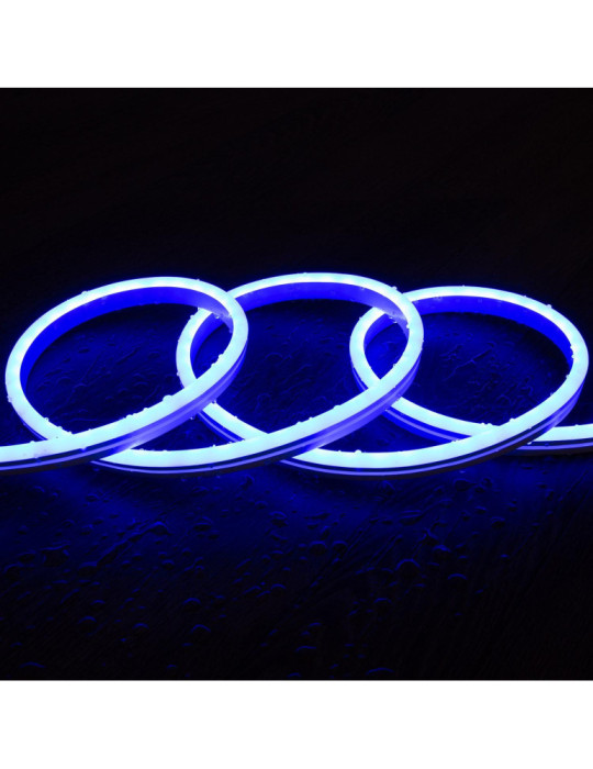 Kit Néon RGBIC Digital SPI 24V DC 60 LED/m 5m IP65 avec Alimentation et Contrôleur Inclus