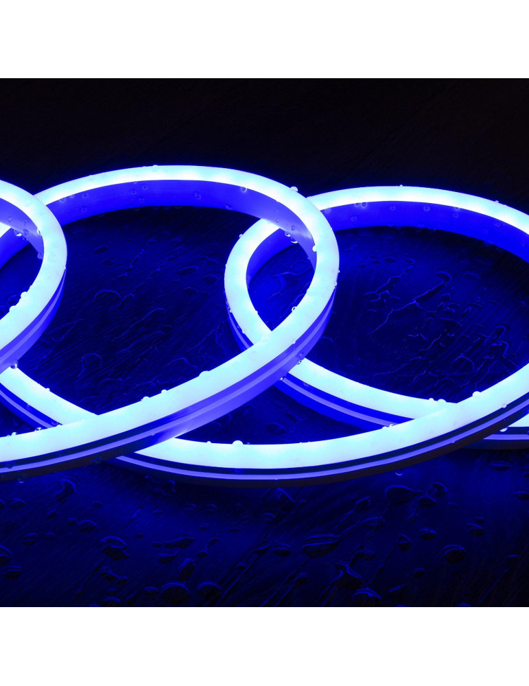 Kit Néon RGBIC Digital SPI 24V DC 60 LED/m 5m IP65 avec Alimentation et Contrôleur Inclus