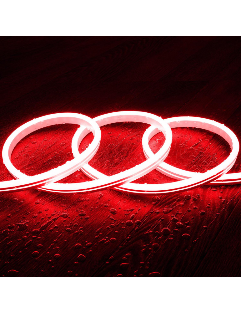 Kit Néon RGBIC Digital SPI 24V DC 60 LED/m 5m IP65 avec Alimentation et Contrôleur Inclus