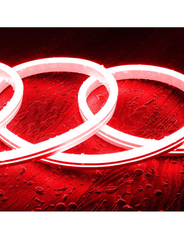 Kit Néon RGBIC Digital SPI 24V DC 60 LED/m 5m IP65 avec Alimentation et Contrôleur Inclus