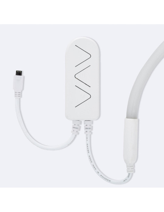 Kit Néon RGBIC Digital SPI 24V DC 60 LED/m 5m IP65 avec Alimentation et Contrôleur Inclus