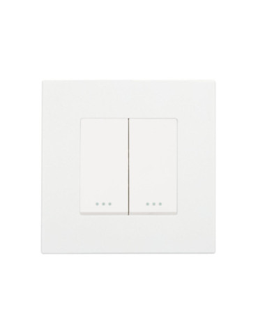 Interrupteur Double Bouton-Poussoir avec Cadre PC Modern