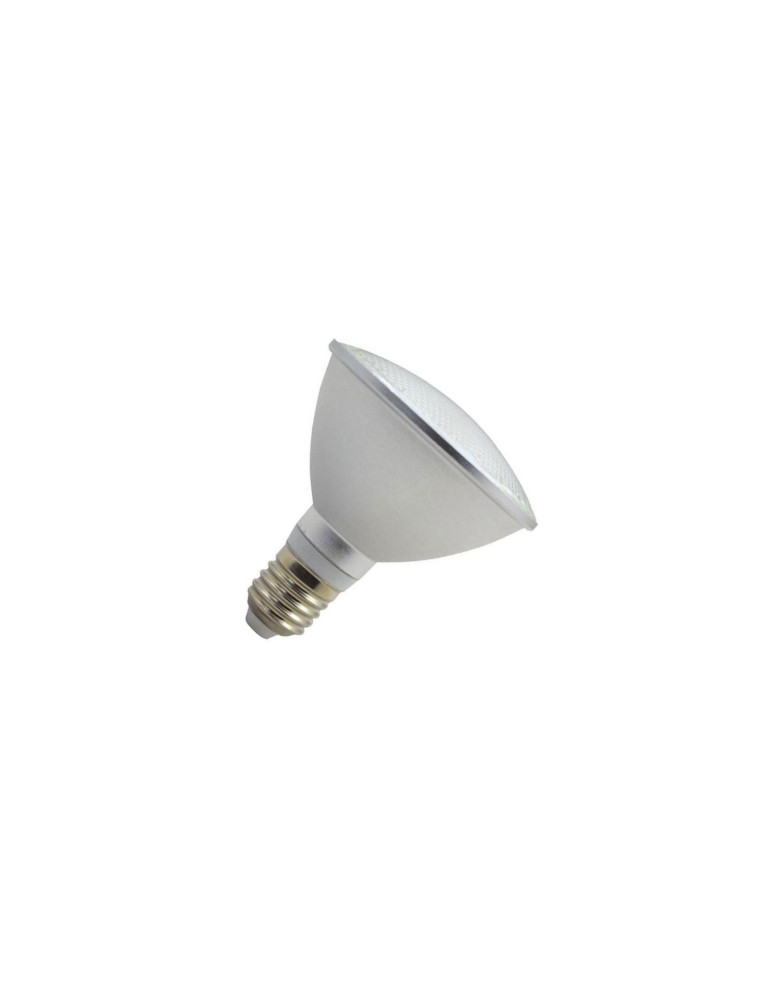 Ampoule LED E27 10W 900 lm PAR30 IP65