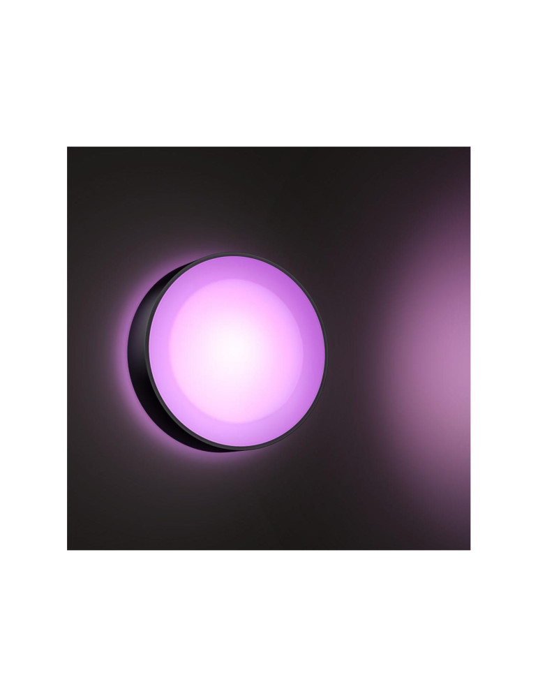 Applique Murale LED Extérieure White Color Daylo 15W PHILIPS Hue