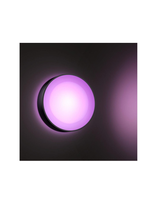 Applique Murale LED Extérieure White Color Daylo 15W PHILIPS Hue