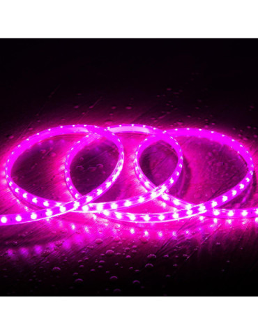 Ruban LED 220V SMD2835 60LED/m Rose IP65 Largeur 12mm Coupe tous les 100cm