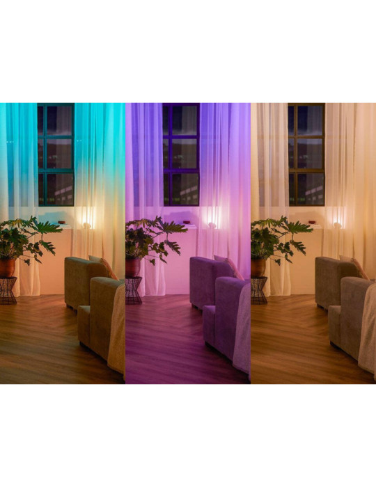 Pack 2 Modules Interrupteur Mural PHILIPS Hue