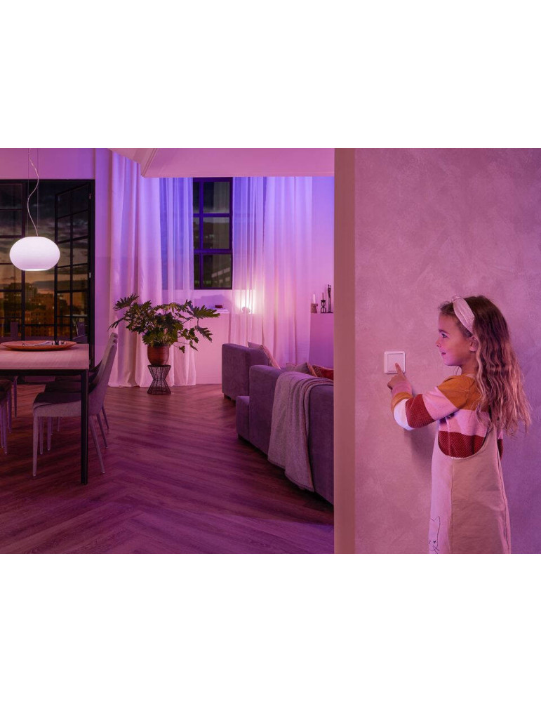 Pack 2 Modules Interrupteur Mural PHILIPS Hue