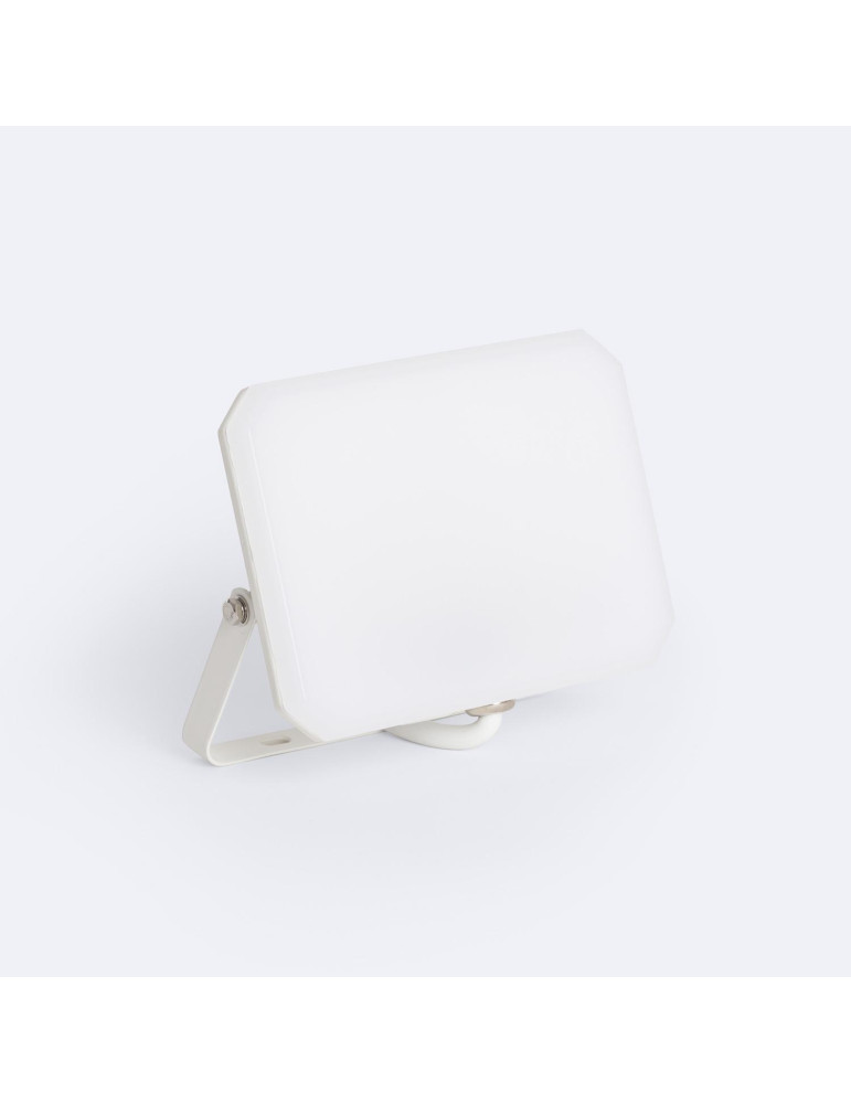 Projecteur LED IP65 30W Blanc
