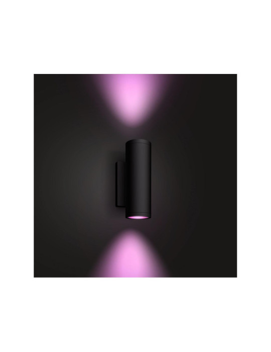 Applique Murale LED Extérieure White Color Appear 2x8W PHILIPS Hue