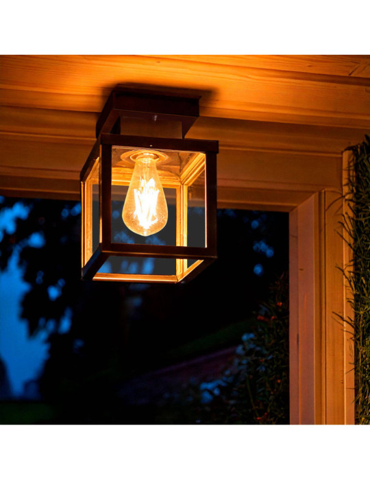 Plafonnier Extérieur Acier Inoxydable Theia