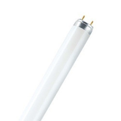 Ampoule LED CorePro Luster E14 4W=25W 2700k Dépolie