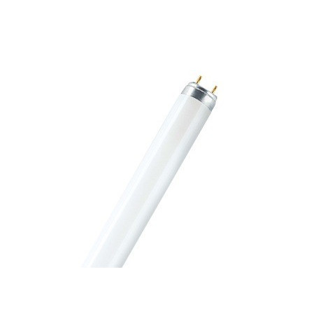 Ampoule LED CorePro Luster E14 4W=25W 2700k Dépolie