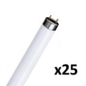 Ampoule Led Star mini tube T26 2,3W=20W E14 4000K Dépolie