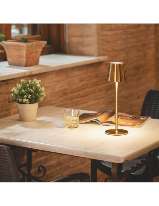 Lampe à Poser LED Portable 3W Anisa Métal avec Batterie Rechargeable USB