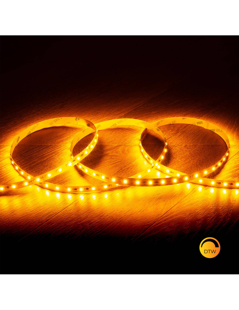 Ruban LED 24V DC Dimmable SMD2835 140LED/m 5m IP20 Largeur 10mm Coupe tous les 100cm Dim to Warm
