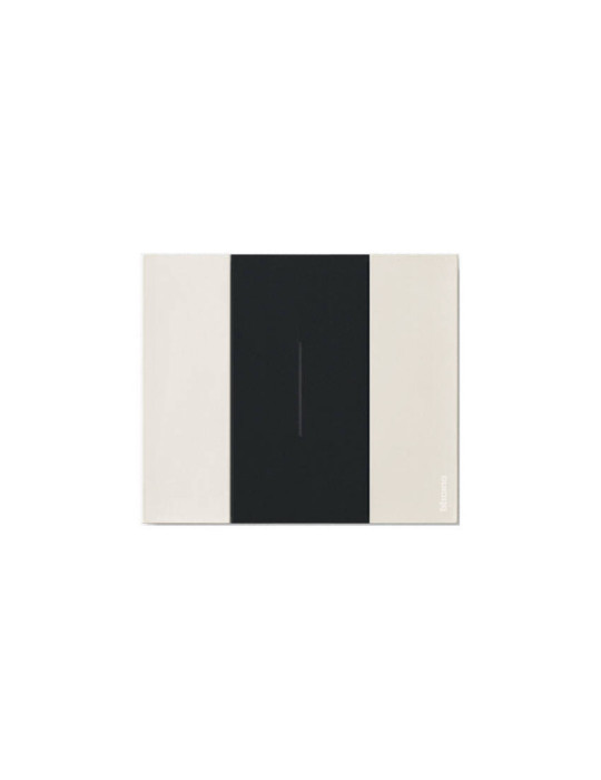 Kit Va-et-Vient BTicino Living Now