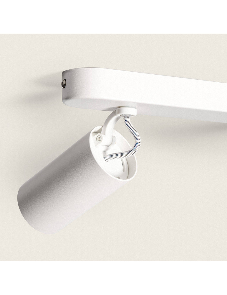 Plafonnier Orientable Emir 2 Spots