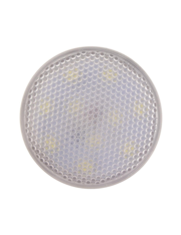 Ampoule LED E27 5W 450 lm PAR20 IP65