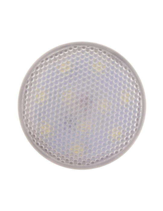 Ampoule LED E27 5W 450 lm PAR20 IP65