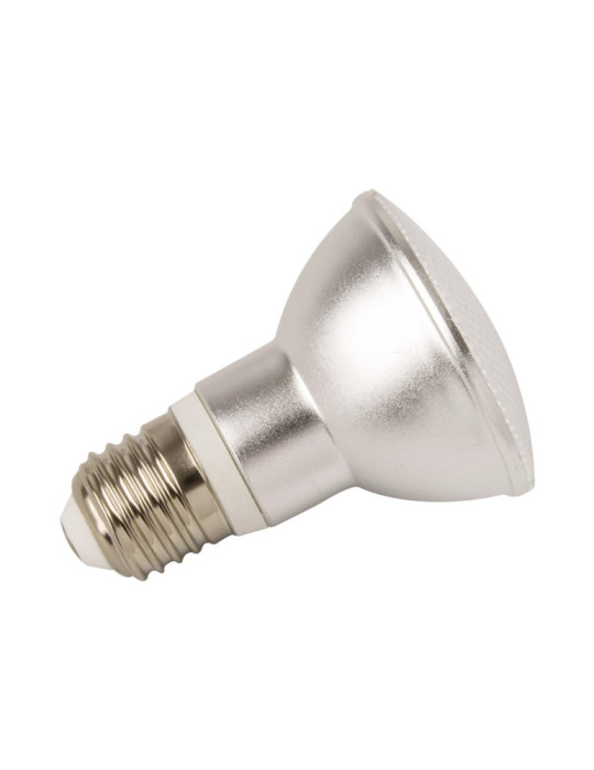 Ampoule LED E27 5W 450 lm PAR20 IP65