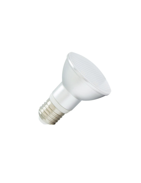 Ampoule LED E27 5W 450 lm PAR20 IP65